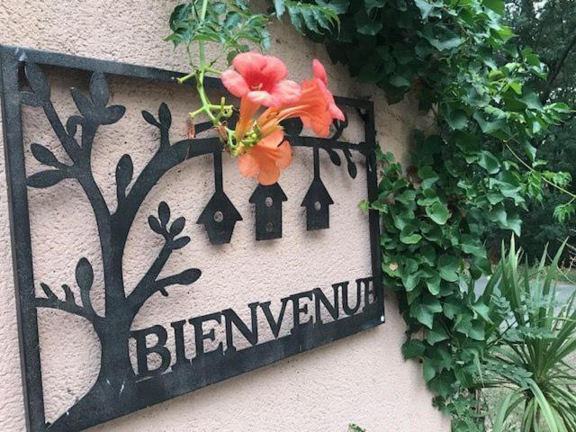 B&B Les Muscades Saint-Étienne-du-Grès Екстериор снимка