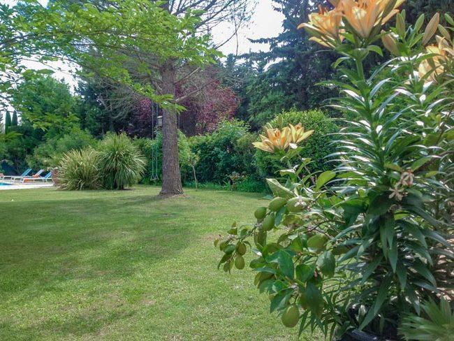 B&B Les Muscades Saint-Étienne-du-Grès Екстериор снимка